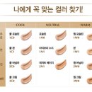 에스티 | [리뉴얼 후기] 에스티로더 퓨처리스트 색상 추천 쿨포슬린 vs 쿨바닐라 (쿨,내추럴,웜)