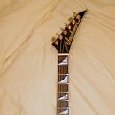 기타리스트 랜디 로즈 (Randy Rhoads) 이미지