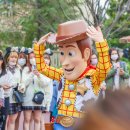 일본여행 도쿄 디즈니랜드 후기 티켓 도쿄 디즈니씨 입장권 예매
