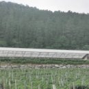 백의1리 마을회관 이미지