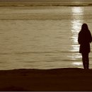 내사랑내곁에 이미지