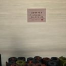 요가(기초야간) 이미지