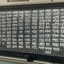 에스에프투어 이미지