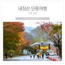 내동리1 소교량 17 | [전북정읍]막바지 내장산 단풍절정 11월3일 기차여행 다녀온 후기