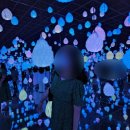 할까? 미디어아트 전시에 관심 없는 분들은 고민해보세요! 제주도 노형슈퍼마켙 방문한 내돈내산 솔직후기