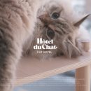 오뗄뒤샤 이미지