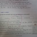 학원 없이 독학으로 끝내는 '자이스토리 중등 영문법 총정리 중3' 2주차 열공 후기!