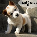 쉬는시간에