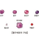 혼돈.망상-&#39;백혈병?/당뇨병.뇌졸중.암.치매..원인?&#39; &#39;전쟁/평화?&#39; &#39;인생은 운명?-신의 뜻-업보-인연?&#39;-이무소득고/구경열반/득도 이미지