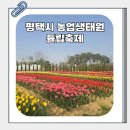 다모여 | 평택농업생태원 튤립 좋아하는 사람 다 모여~ 꽃나들이 축제정보 및 방문후기