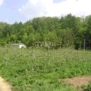 거창-남하-3 이미지