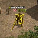 골드나이트 이미지