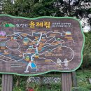 보성농장 이미지