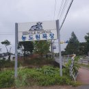 원삼산 목장 | 🐄용인 원삼 농도원 목장 / 요거트가 맛있는 낙농체험 교육목장