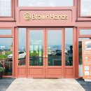 브라운핸즈 이미지