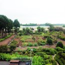 팜파스펜션 이미지