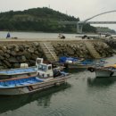 공룡의숨결 이미지