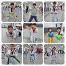 베스트 연세 태권도 이미지