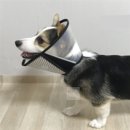 뽀송