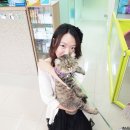 정수동물병원 이미지