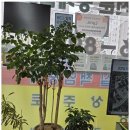 남양공인중개사사무소 네이버블로그