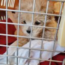 신통방통 동물병원 이미지