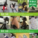 펫의류&펫소품 만들기 이미지