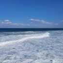 금학목장 이미지