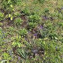 호수공원사거리 | 울산 함월산 + 선암호수공원 봄 산책 코스 (벚꽃 + 호수 + 트레킹 후기)