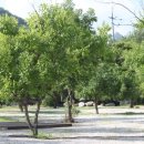 밤나무집 이미지