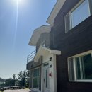 대피소 울릉 | [울릉도 여행] 대피소울릉 : 스노쿨링 장비 대여 가능한 울릉도 감성숙소 추천