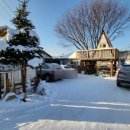 나 대관령왔어 이미지