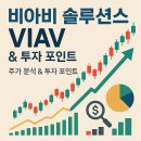 비솔루션스