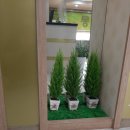 일산연세의원 이미지