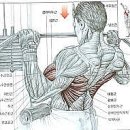 FITNESS GOJIB 네이버블로그