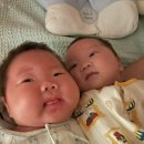 튼튼소아과의원 이미지