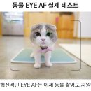 소니 a7r4 작동법.. 이미지