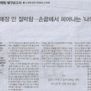 은미 이미지