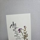썬캘리그라피