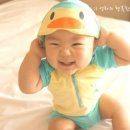속초회수산 - 의정부시 용현로150번길 18 | 속초회수산