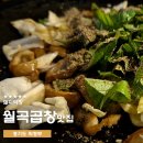가능로 | 의정부 술집 추천 재방문 담백하고 고소한 월곡곱창
