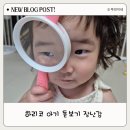 22개월 아기 장난감 추천! 하리코 고해상도 돋보기 생생 후기