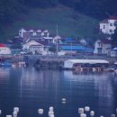 풍화리민박 이미지