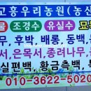 덕진농원