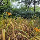 서울숲3 이미지