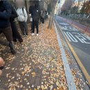 당신을 위한 베이커리 이미지