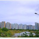 배곧생명공원 이미지