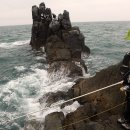 상사리(상) 이미지