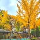 서교어린이공원 화장실 이미지