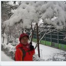 까치산근린공원 이미지